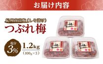 紀州南高梅 つぶれ梅 セット しそ漬け梅 塩分3％ 1.2kg 白浜グルメ市場 【 南高梅 梅干し つぶれ梅干し しそ梅干し シソ梅干し しそ漬け梅干し 梅干 和歌山県 白浜町 BQ08-NTZ 】