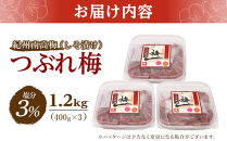 紀州南高梅　《つぶれ梅セット》　しそ漬け梅　塩分3％（1.2キロ）