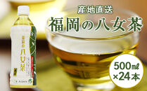 【産地直送】福岡の八女茶 煎茶ペットボトル（500ml×24本）