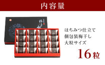 大粒の紀州南高梅&nbsp;人気のはちみつ仕立て「極」16包&nbsp;shokibai006A　［SB2］