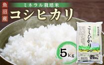 特別栽培米コシヒカリ（ミネラル栽培）5kg