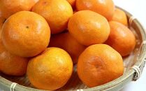 【取扱終了】紀州有田産早生みかんの樹上熟成みかん7.5kg（サイズ混合・秀品）