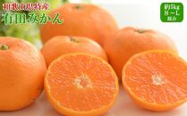 [秀品]和歌山有田みかん約5kg（S～Lサイズ混合）★2024年11月中旬頃より順次発送【TM95】