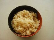 ※受付終了※【2年産】野口勘右衛門のお米「玄米食最適米（ミルキークイーン）」玄米30kg