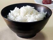 ※受付終了※【2年産】野口勘右衛門のお米「玄米食最適米（ミルキークイーン）」精米9kg