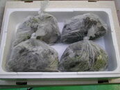 熊野地方特産、めはり寿し用高菜漬け（冷凍）５００ｇ４袋入り