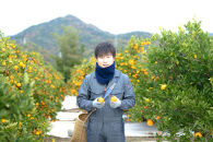 4月&nbsp;まで&nbsp;木成&nbsp;完熟&nbsp;させた&nbsp;有田&nbsp;はっさく&nbsp;特秀&nbsp;大玉&nbsp;2L&nbsp;×&nbsp;4玉&nbsp;化粧小箱&nbsp;南泰園&nbsp;みかん