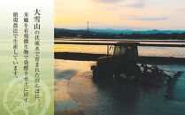 【令和5年産新米先行予約】市川農場開発「ゆきさやか」(10kg×6回便）～10月よりお届け～_00385