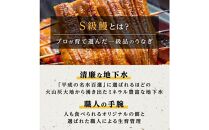 横山桂一さんのS級鰻　大15尾（2.25kg）