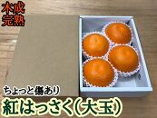 ちょっと 傷あり 木成完熟 紅はっさく 大玉 2L × 4玉入 茶小箱【2025年4月上旬～発送】