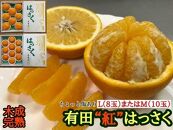 ちょっと 傷あり 木成完熟 紅はっさく L × 8玉 または M × 10玉 サイズ 化粧箱【2025年4月上旬～発送】