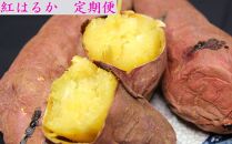 大崎町産『定期便』紅はるかの焼き芋（約3kg）全5回発送