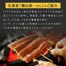 【影響が大きい事業者支援】白焼き５尾　横山桂一さんのS級鰻（計750g以上）