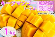 先行受付！【2022年夏発送】甘～い口当たりの幻のキーツマンゴー！1kg（1玉～2玉）