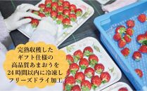 形も味もそのまま楽しめる！完熟あまおう【フリーズドライギフトセット】 (12g×4袋)【あまおう 食品 あまおう フルーツ あまおう 果物 苺くだもの いちご 食品 イチゴ 人気 あまおう おすすめ 送料無料 福岡県 大川市 AA043】