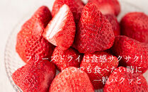 形も味もそのまま楽しめる！完熟あまおう【フリーズドライギフトセット】 (20g×3袋)【あまおう 食品 あまおう フルーツ あまおう 果物 苺くだもの いちご 食品 イチゴ 人気 あまおう おすすめ 送料無料 福岡県 大川市 AA046】