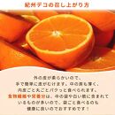 完熟紀州デコ(不知火) 約3kg　果肉プリプリ♪【2025年2月下旬以降発送】【先行予約】【UT42】