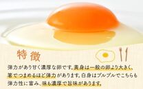 濃厚で甘くておいしい！ 福井ブランド「福地鶏」の卵 30個（15個入×2段）