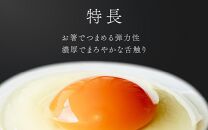 濃厚で甘くておいしい！ 福井ブランド「福地鶏」の卵 50個（25個入×2段） ／ 卵 たまご 鶏卵 生卵 有精卵 高級 高級卵 福地鶏 鶏 平飼い 美味しい こだわり 卵かけご飯 料理 あわら市 福井県産