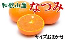 【希少柑橘】和歌山産なつみ約5kg（S～2Lサイズおまかせ）★2024年4月～順次発送