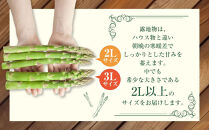 【2026年先行予約】露地物朝採りアスパラ 2L～3Lサイズ800g（400g×2）鮮度保持フィルム入り(5月中旬発送開始予定) 【 アスパラ アスパラガス 朝採り とれたて 野菜 旬 小分け 保存 産直 産地直送 お取り寄せ 旭川市 北海道 】_01593