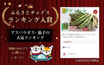 【2026年先行予約】露地物朝採りアスパラ 2L～3Lサイズ800g（400g×2）鮮度保持フィルム入り(5月中旬発送開始予定) 【 アスパラ アスパラガス 朝採り とれたて 野菜 旬 小分け 保存 産直 産地直送 お取り寄せ 旭川市 北海道 】_01593