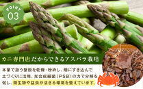 【2026年先行予約】露地物朝採りアスパラ&nbsp;2L～3Lサイズ800g（400g×2）鮮度保持フィルム入り(5月中旬発送開始予定)&nbsp;【&nbsp;アスパラ&nbsp;アスパラガス&nbsp;朝採り&nbsp;とれたて&nbsp;野菜&nbsp;旬&nbsp;小分け&nbsp;保存&nbsp;産直&nbsp;産地直送&nbsp;お取り寄せ&nbsp;旭川市&nbsp;北海道&nbsp;】_01593