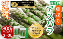【2026年先行予約】露地物朝採りアスパラ&nbsp;2L～3Lサイズ800g（400g×2）鮮度保持フィルム入り(5月中旬発送開始予定)&nbsp;【&nbsp;アスパラ&nbsp;アスパラガス&nbsp;朝採り&nbsp;とれたて&nbsp;野菜&nbsp;旬&nbsp;小分け&nbsp;保存&nbsp;産直&nbsp;産地直送&nbsp;お取り寄せ&nbsp;旭川市&nbsp;北海道&nbsp;】_01593