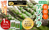 【2026年先行予約】朝採りアスパラ&nbsp;Lサイズ&nbsp;1kg（500g×2）鮮度保持パック入り&nbsp;旭川近郊産&nbsp;露地物(5月中旬発送開始予定)&nbsp;【&nbsp;アスパラ&nbsp;アスパラガス&nbsp;朝採り&nbsp;とれたて&nbsp;野菜&nbsp;旬&nbsp;小分け&nbsp;保存&nbsp;産直&nbsp;産地直送&nbsp;お取り寄せ&nbsp;旭川市&nbsp;北海道&nbsp;】_01590