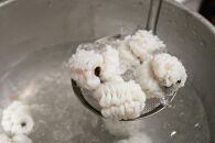 【京料理&nbsp;坂安】ハモ落し（湯引き）｜京都&nbsp;グルメ&nbsp;人気京料理&nbsp;[&nbsp;京都&nbsp;坂安&nbsp;鮮度の良い天然ハモ&nbsp;鱧&nbsp;はも&nbsp;湯引き&nbsp;美味しい&nbsp;おすすめ&nbsp;料理&nbsp;和食&nbsp;ご褒美&nbsp;お祝い&nbsp;お取り寄せ&nbsp;通返&nbsp;送料無料&nbsp;ふるさと納税&nbsp;]