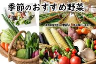 季節のおすすめ野菜【ポイント交換専用】