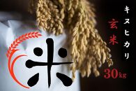令和5年産 特別栽培 近江米 【キヌヒカリ】玄米30kg【ポイント交換専用】
