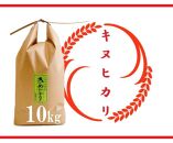 令和5年産 特別栽培 近江米 【キヌヒカリ】10kg（5kg×2）【ポイント交換専用】