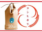 令和5年産 特別栽培 近江米 【コシヒカリ】10kg（5kg×2）【ポイント交換専用】