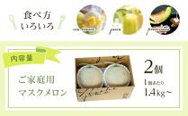 高知県南国市産／ご家庭用マスクメロン（2個）【メロン フルーツ くだもの デザート 高評価 人気 おすすめ】