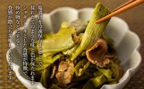 【産地直送】高知県産冷凍イタドリの詰め合わせセット【塩漬け】