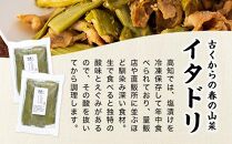 【産地直送】高知県産冷凍イタドリの詰め合わせセット【塩漬け】