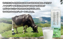 【ドルチェかがみ】南国斉藤牧場ノンホモジナイズ山地酪農牛乳ジェラート
