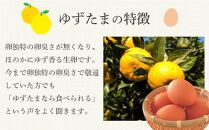 ゆずたま　卵かけご飯をお塩で食べる【ゆず香る卵】【たまご 卵 鶏卵 柚子 たまごかけごはん たまごかけ TKG　おいしい 高級 人気 おすすめ  高知県 南国市】