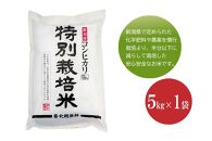 新潟産コシヒカリ 特別栽培米5kg 新潟認証米 令和5年産