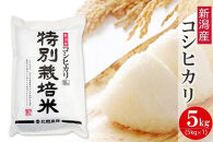 〈令和7年産 新米〉特別栽培米 新潟産コシヒカリ 5kg 精米 白米