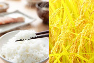 〈令和7年産&nbsp;新米〉特別栽培米&nbsp;新潟産コシヒカリ&nbsp;5kg&nbsp;精米&nbsp;白米