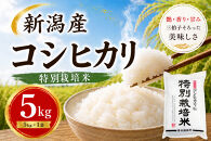 【令和7年産】新潟産コシヒカリ&nbsp;特別栽培米&nbsp;5kg｜一粒一粒に甘み広がるおいしさ