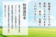特別栽培米&nbsp;新潟産コシヒカリ&nbsp;10kg&nbsp;&nbsp;令和7年産&nbsp;精米&nbsp;白米
