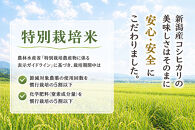 【令和7年産】新潟産コシヒカリ&nbsp;特別栽培米&nbsp;10kg（5kg×2袋）&nbsp;精米&nbsp;白米