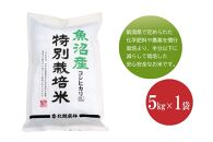 魚沼産コシヒカリ 特別栽培米5kg 新潟県認証米 令和5年産