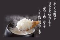 魚沼産コシヒカリ 特別栽培米5kg 新潟県認証米 令和5年産