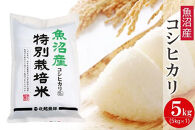 【令和7年産】新潟県魚沼産コシヒカリ&nbsp;特別栽培米&nbsp;5kg&nbsp;白米&nbsp;精米