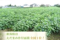【予約】ＧＩ登録 くろさき茶豆1.2kg 2023年8月発送
