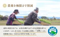 【令和6年産 新米】《定期便6回》5kg×6回（計30kg） 特別栽培米 ミルキークイーン 無洗米 低農薬 《食味値85点以上！こだわり無洗米》 / 福井県 あわら市 北陸 米 お米 人気 白米 精米